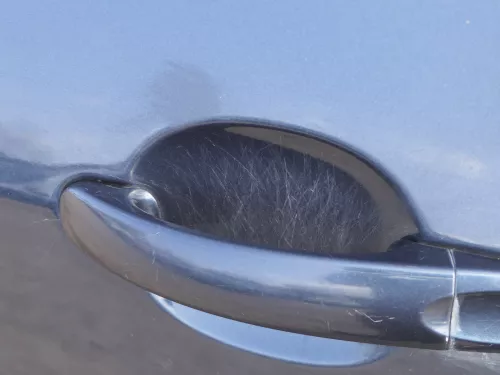 VW Golf Plus 5M Tür hinten links silber blau LC5F - mit Rahmen (185025)