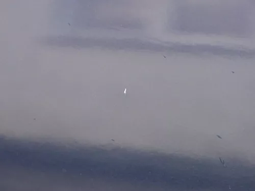 Audi A4 B5 Tür nur Türblatt vorn rechts Beifahrertür blau LZ5T Kombi Limo (185055)