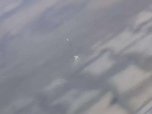 Audi A4 B5 Tür nur Türblatt vorn rechts Beifahrertür blau LZ5T Kombi Limo (185055)