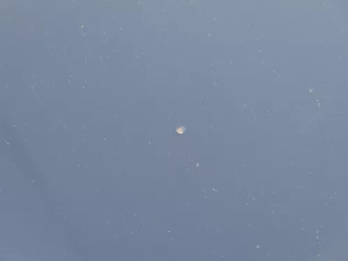 Audi A4 B6 8E Motorhaube Haube Klappe schwarz LY9B (185132)