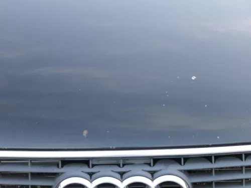 Audi A4 B6 8E Motorhaube Haube Klappe schwarz LY9B (185132)