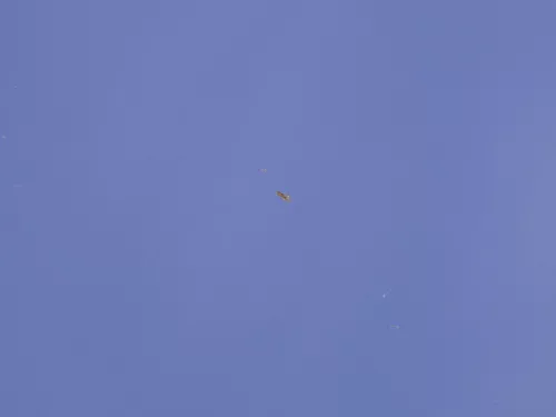 VW Golf 4 Motorhaube Haube Klappe vorne blau LW5Z (185163)