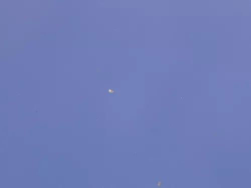 VW Golf 4 Motorhaube Haube Klappe vorne blau LW5Z (185163)