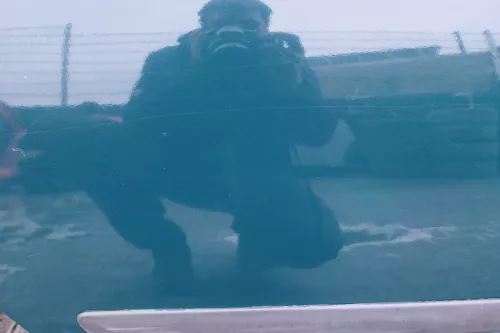 Skoda Octavia 1U Kombi Tür hinten rechts grün L5550 LF6C (109855)