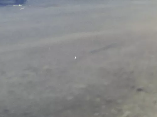 VW Golf 7 5G Tür vorne links Fahrertür 4/5-Türer blau LH5X -ohne Anbauteile (185448)