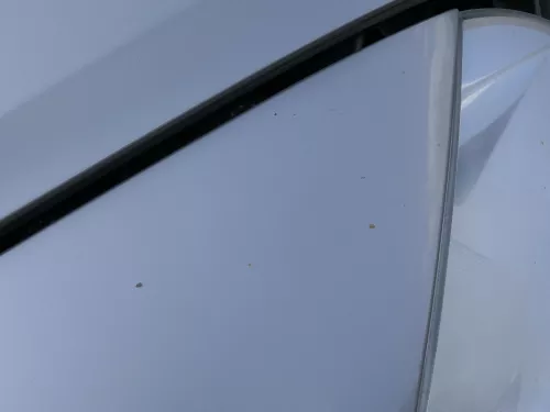 Skoda Octavia 1Z Kotflügel vorne rechts auch Kombi LF8H Cappuccino Beige (185765)