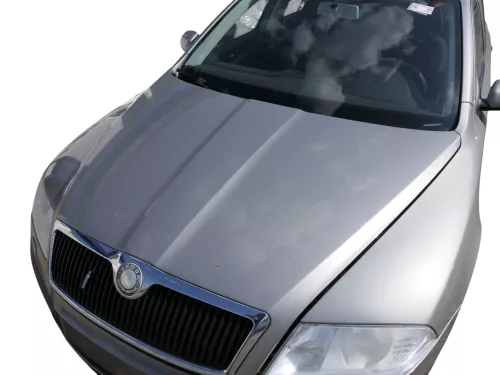 Skoda Octavia 1Z Motorhaube Haube Klappe vorne Cappuccino Beige LF8H mit Grill