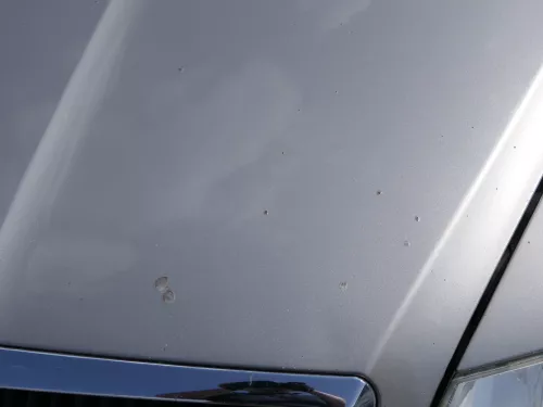 Skoda Octavia 1Z Motorhaube Haube Klappe vorne Cappuccino Beige LF8H mit Grill (185766)