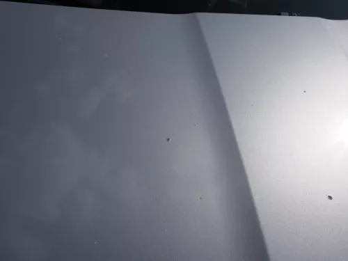 Skoda Octavia 1Z Motorhaube Haube Klappe vorne Cappuccino Beige LF8H mit Grill (185766)