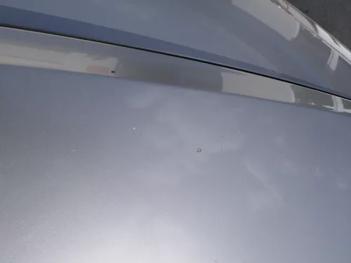 Skoda Octavia 1Z Motorhaube Haube Klappe vorne Cappuccino Beige LF8H mit Grill (185766)