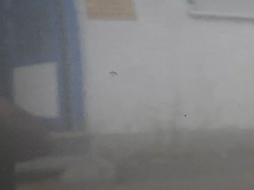 Audi A6 4F C6 Tür Türblatt vorne rechts Beifahrertür grau LZ7S - ohne Anbauteile (185860)