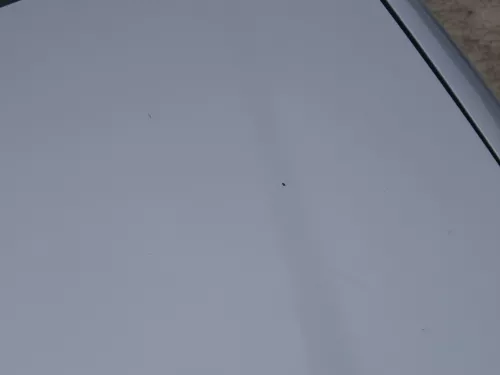 VW Touran 1T Caddy 2K Motorhaube Klappe Frontklappe Haube silber LA7W (186544)