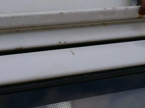 T4 Transporter Tür rechts Schiebetür mit Scheibe Multivan Caravelle weiß R902 (186815)