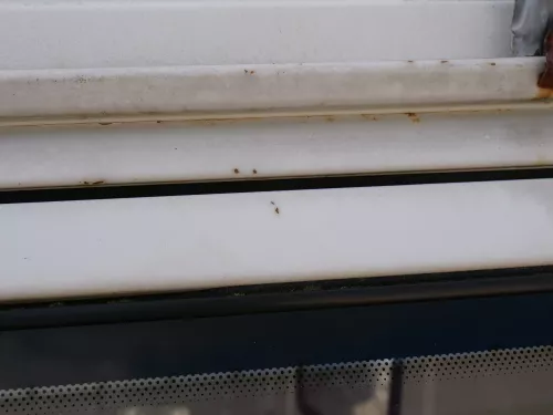 T4 Transporter Tür rechts Schiebetür mit Scheibe Multivan Caravelle weiß R902 (186815)