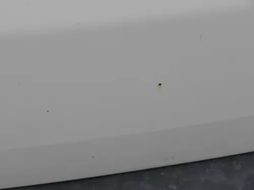 VW T5 Facelift T6 Flügeltür Klappe hinten rechts weiß R902 mit Scheibe (186898)